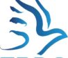 logo2